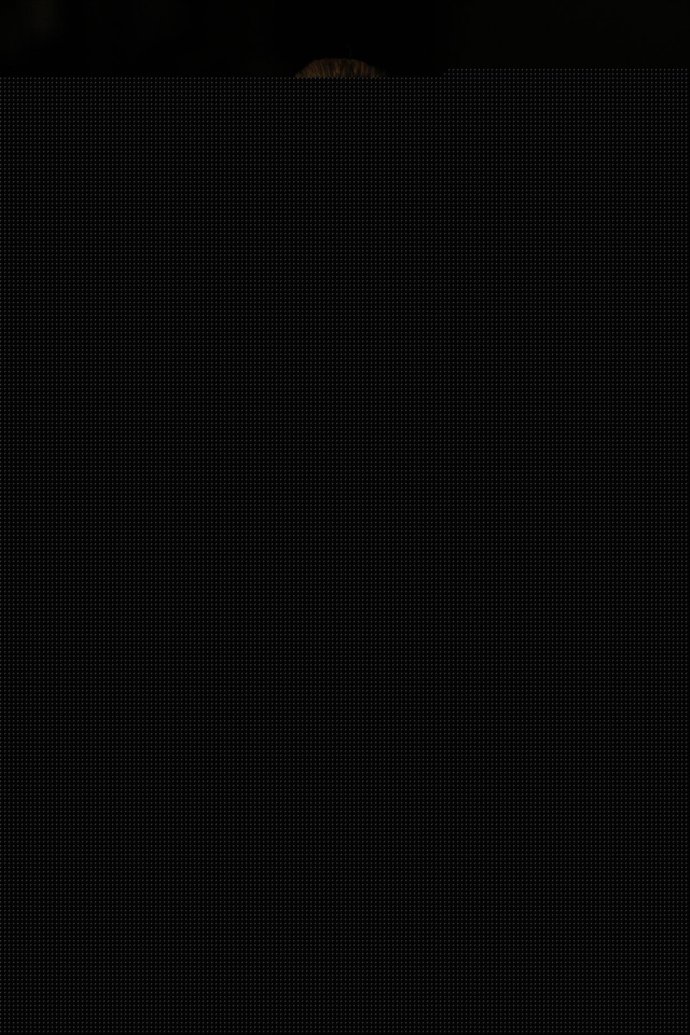 Diseño de Amaya Arzuaga elegido por Lady Gaga