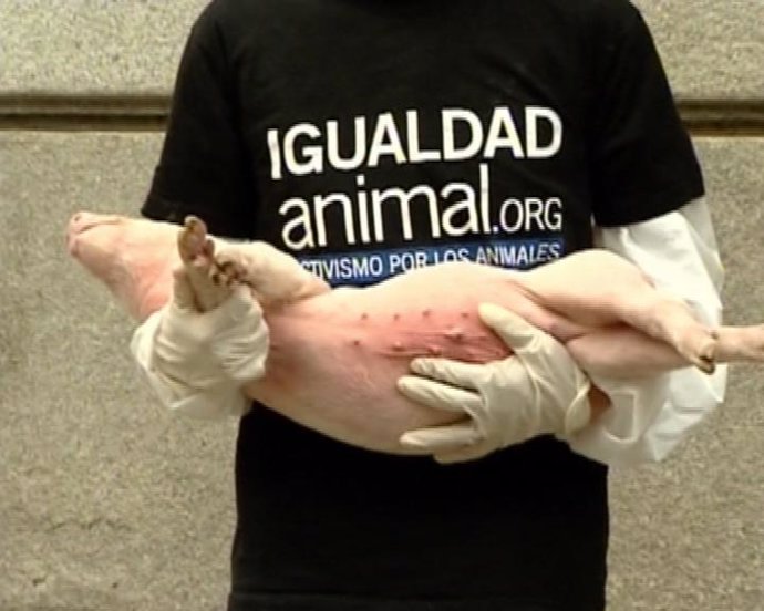 Igualdad Animal denuncia maltrato en granjas