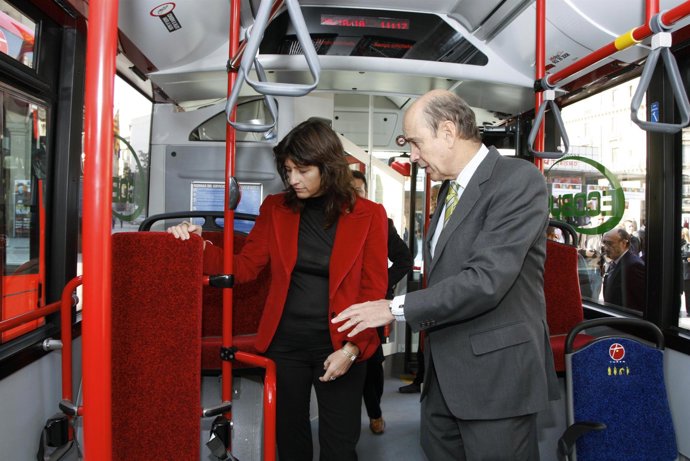 Dueso en el autobús
