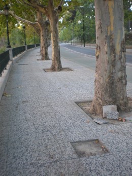 Baldosas rotas en Paseo del Canal