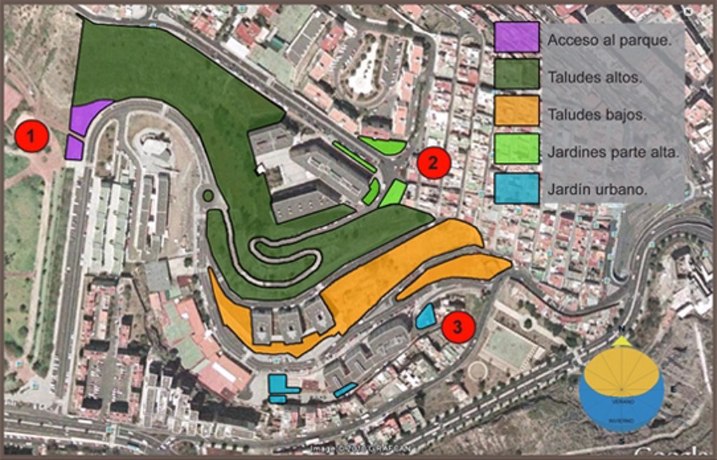 El Ayuntamiento de Las Palmas de Gran Canaria plantará 28 ...