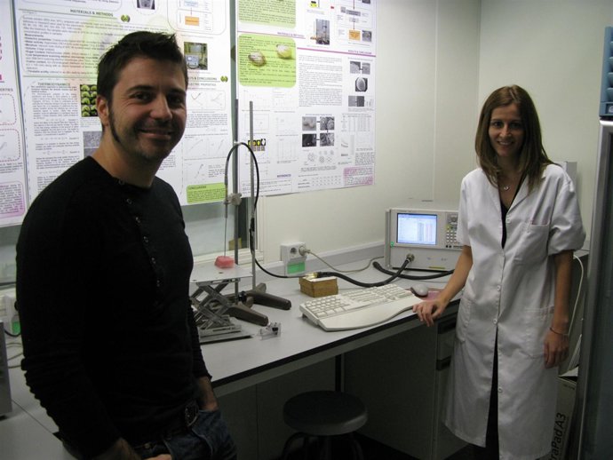 Investigadores de la UPV y CSIC
