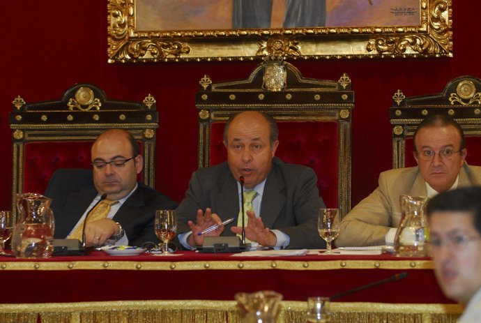 Pleno del Ayuntamiento de Granada