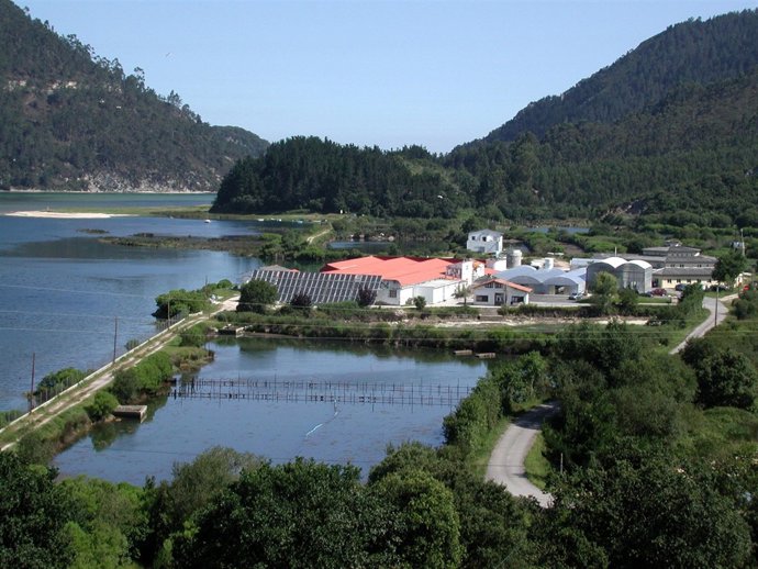 Información Tinamenor