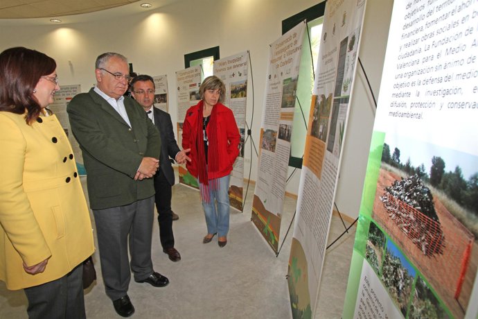 Cotino vista la exposición