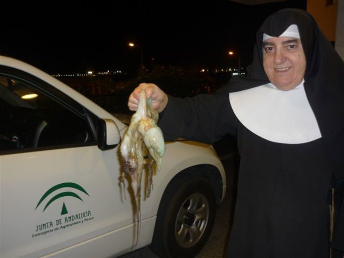 Momento de la entrega del pescado decomisado en la residencia de ancianos 'Hogar