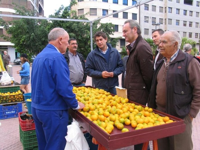 Alberto Fabra visita el II Mercado de la Naranja