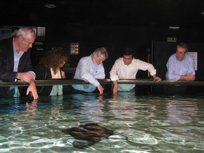 El delegado provincial de Agricultura y Pesca, Juan Deus, visita el Aquarium de 