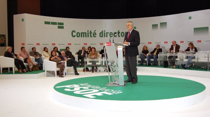 PSOE De Andalucía: Fotos Comité Director 2 11 10