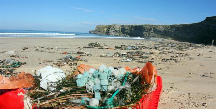 Biosoportes en Langre