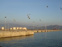 El puerto de Motril busca abrir nuevas rutas con Marruecos ante la "congestión" del Estrecho