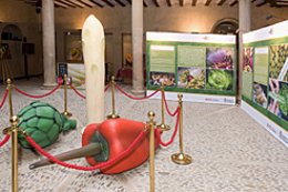 Imagen de las exposiciones sobre el vino y las verduras de Navarra.
