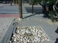 CHA pide arreglar los "numerosos adoquines sueltos" de la plaza de la Romareda