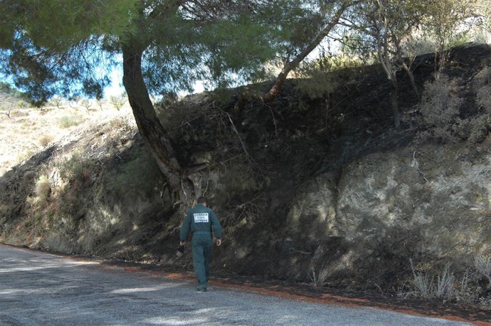 Incendio en Los Guájares (Granada)