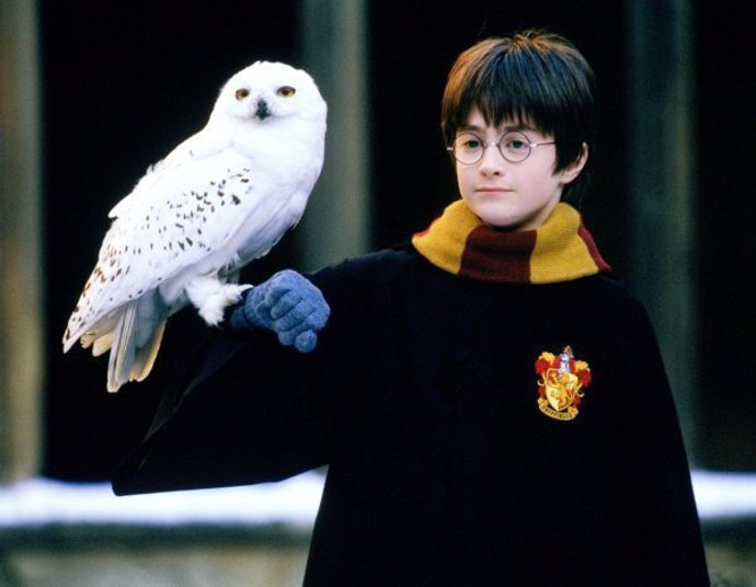 Harry Potter con su lechuza