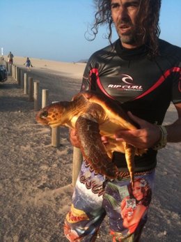 Un kitesurfista sostiene en sus manos a la tortuga enferma