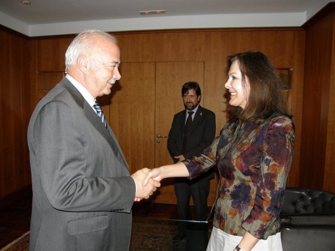 El presidente del Cabildo de Tenerife, Ricardo Melchior, recibe en su despacho d