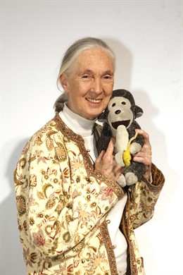 Ndp FESTIVAL DE SEVILLA EL VIAJE DE JANE