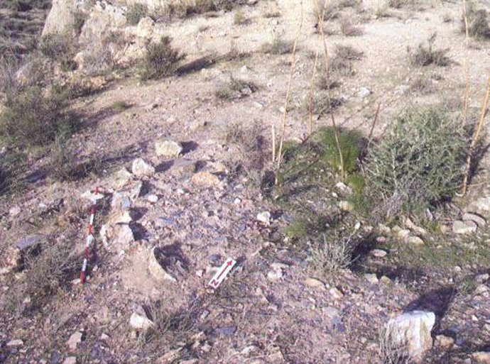 Restos arqueológicos que han sido encontrados en el exterior del yacimiento la L