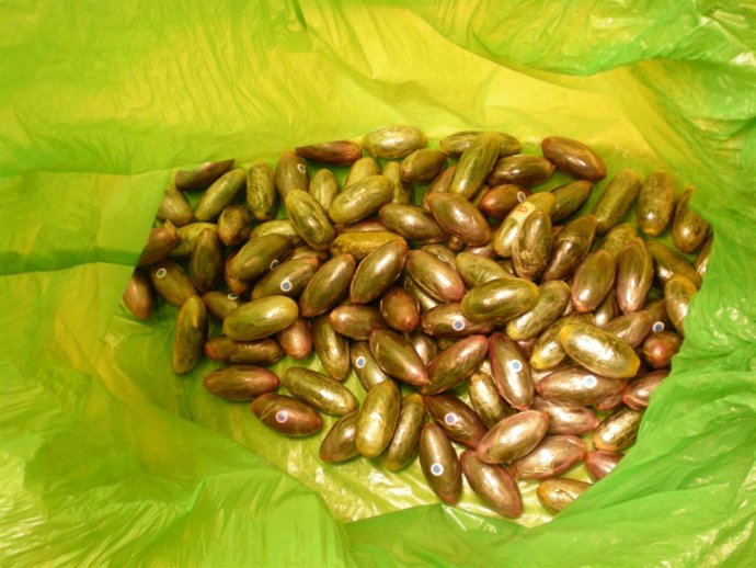 Hachís intervenido en Aeropuerto de Girona