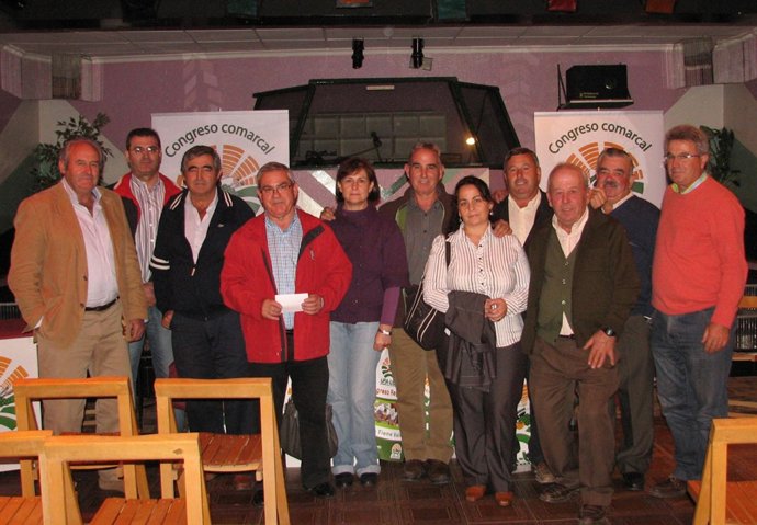 NP Nueva Ejecutiva Comarcal Vegas Altas Sur