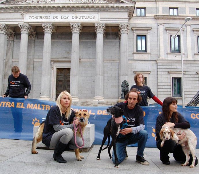 Según El Refugio, Con El Nuevo Código Penal Aumentarán Los Procedimientos Judici