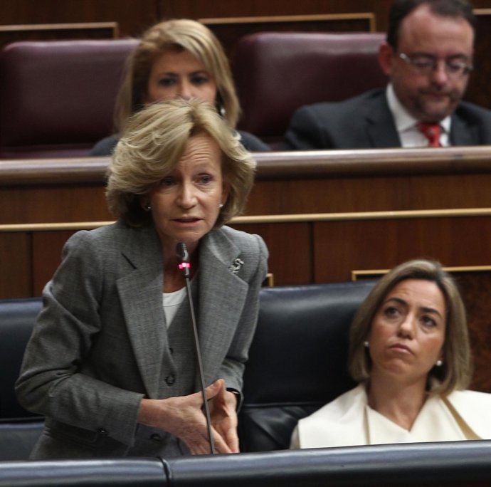 Vicepresidenta económica del Gobierno, Elena Salgado, en el Congreso
