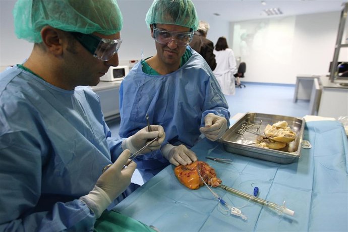 Científicos manipulan órganos, corazón