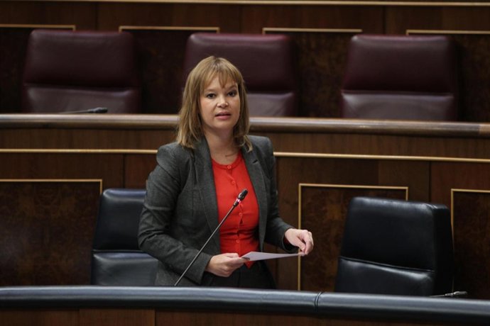 Leyre Pajín en el Congreso de los Diputados