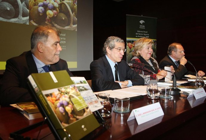 Informe Sector Agrario En Andalucía 2009