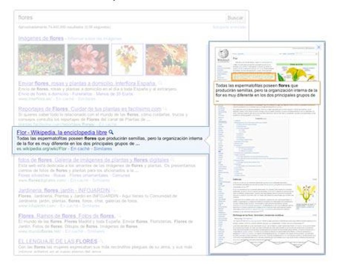 google vista previa por Google
