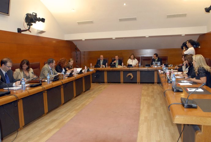 comisión del Parlamento de Cantabria