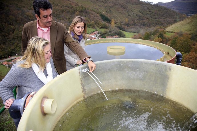 Depuración Saja y Bárcena