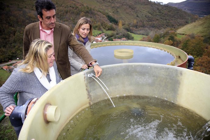 Depuración Saja y Bárcena