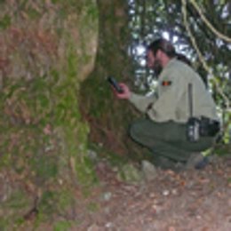 Agentes forestales