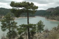 Las precipitaciones de este año se darán con la cuenca del Guadiana "en muy buenas condiciones y los embalses llenos"