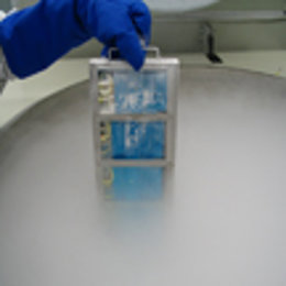 Muestras almacenadas para su congelación