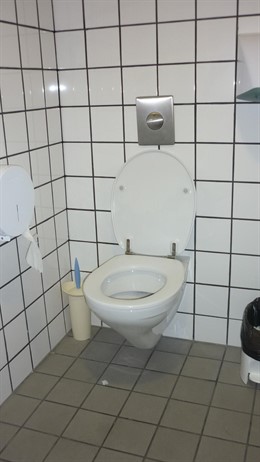 El baño cuenta con las medidas y la señal pero carece de barra