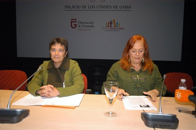 NOTA Y FOTO DIPUTACION (MIRANDO NOSOTRAS 2010)