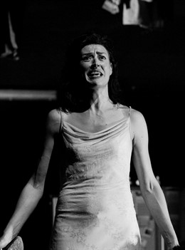 Dogville de Rayuela Producciones