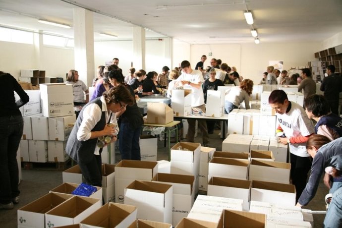 Recogida de Alimentos 