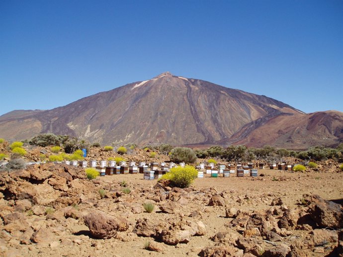 Parque Nacional del Teide.