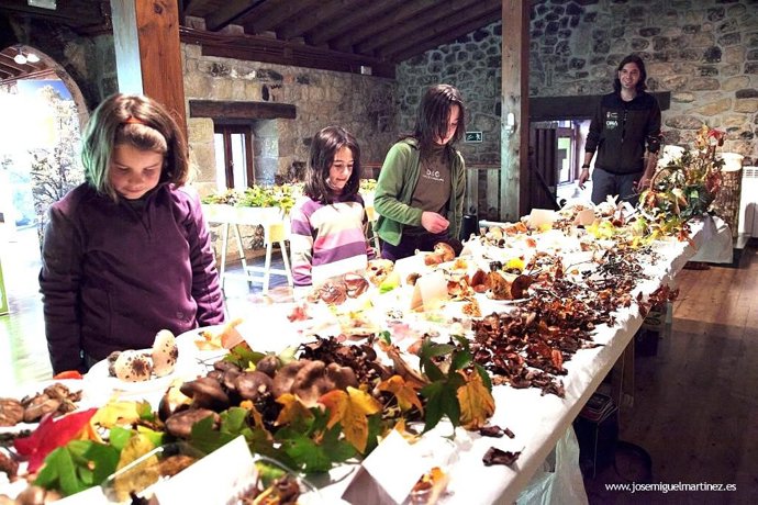 jornadas monte Hijedo