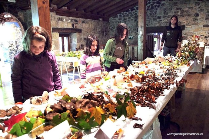 jornadas monte Hijedo