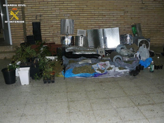Droga y los accesorios para un invernadero incautados por la Guardia Civil de Na