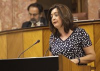 Moreno insta al PP-A a que diga que cerraría la Fundación Barenboim si gobernara en Andalucía