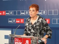 Retegui califica los presupuestos de la Región de Murcia para 2011 como "regresivos y antisociales"