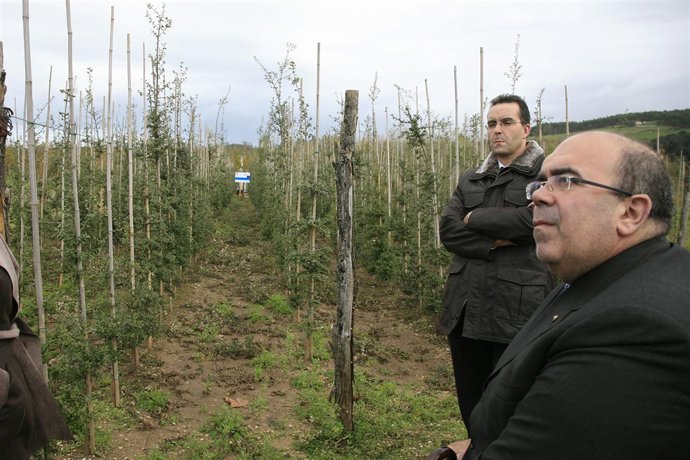 Oria observa los medidores