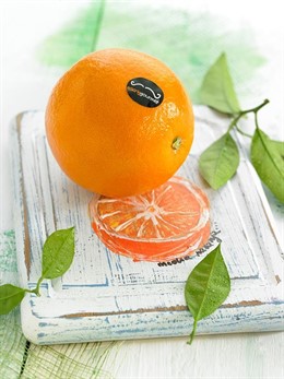 Naranjas Escrig Gourmet.