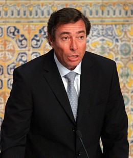 Sr. D. Mario Flores Lanuza